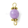 Natural Mixed Gemstone Connector Charms PALLOY-JF02221-2