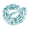 Glass Beads Strands GLAA-N059-5x8mm-43-2