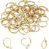 PVD Vacuum Plating 304 Stainless Steel Leverback Earring Findings STAS-UN0018-12G-1