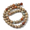 Natural Aqua Terra Jasper Beads Strands G-E444-14B-10mm-2