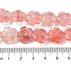 Cherry Quartz Glass Beads Strands G-H023-B10-01-5