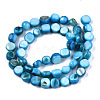 Natural Freshwater Shell Beads Strands SHEL-S276-110B-03-2