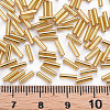 Plated Glass Bugle Beads SEED-S046-01B-22B-3