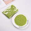 8/0 Glass Seed Beads X1-SEED-A010-3mm-44-5