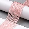 Transparent Glass Beads Strands GLAA-H021-03-07-3