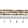 Natural Alashan Agate Beads Strands G-C181-B05-01-5