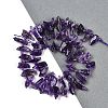 Natural Amethyst Nuggets Beads Strands G-B125-B01-01-2