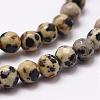 Natural Dalmatian Jasper Beads Strands G-D840-49-4mm-3