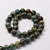 Natural African Turquoise(Jasper) Round Beads Strands G-E329-10mm-41-2