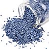 MIYUKI Delica Beads SEED-X0054-DB2317-1