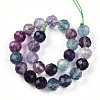 Natural Rainbow Fluorite Beads Strands G-S345-8mm-29-3