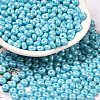 Baking Paint Luster Glass Seed Beads SEED-B001-04A-03-1