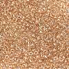 MIYUKI Round Rocailles Beads SEED-G008-RR0234-2