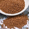 MIYUKI Delica Beads SEED-J020-DB2287-1
