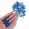 6/0 Glass Seed Beads X1-SEED-A005-4mm-23B-4
