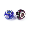 Mixed Styles Handmade Lampwork Glass European Beads LPDL-L002-M-2