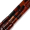 Dyed Natural Agate Beads Strands G-G203-01B-2
