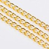 Iron Twisted Chains X-CH-R001-G-1
