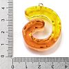 Resin Pendant FIND-Q107-01G-01-3