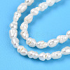 Natural Cultured Freshwater Pearl Beads Strands PEAR-N012-02X-4
