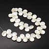 Natural Trochid Shell/Trochus Shell Beads Strands SSHEL-K009-08-2