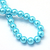 Baking Paint Pearlized Glass Pearl Round Bead Strands X-HY-Q003-4mm-48-4