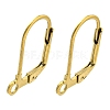 Ion Plating(IP) 304 Stainless Steel Leverback Earring Findings STAS-P360-02B-G-1