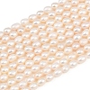 Natural Cultured Freshwater Pearl Beads Strands PEAR-F020-26A-2
