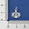 925 Sterling Silver Charms STER-M119-10S-3