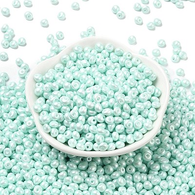 6/0 Glass Seed Beads X1-SEED-L011-08A-14-1