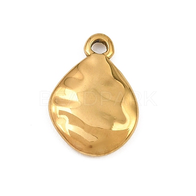 304 Stainless Steel Pendants SA-CBA31B1-05G-1