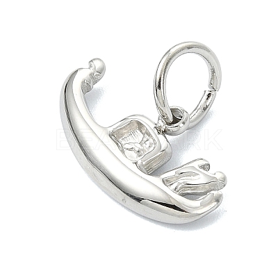 304 Stainless Steel Pendants STAS-A145-03F-P-1
