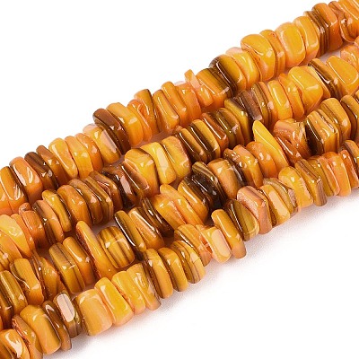 Natural Freshwater Shell Beads Strands SHEL-N037-01A-1