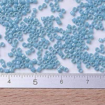 MIYUKI Delica Beads SEED-X0054-DB0218-1