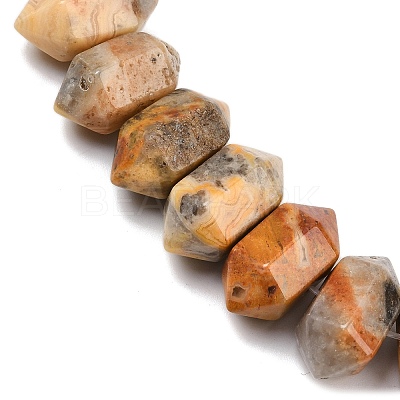 Natural Crazy Agate Double Terminated Point Beads Strands G-T142-90-1