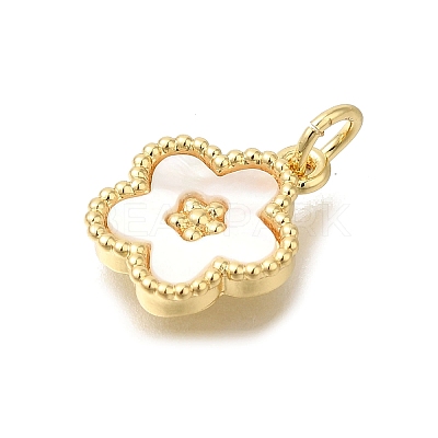 Brass Shell Pendants KK-R002-12G-1