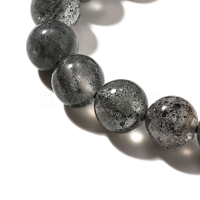 Natural Biotite Beads Strands G-F784-A03-02-1