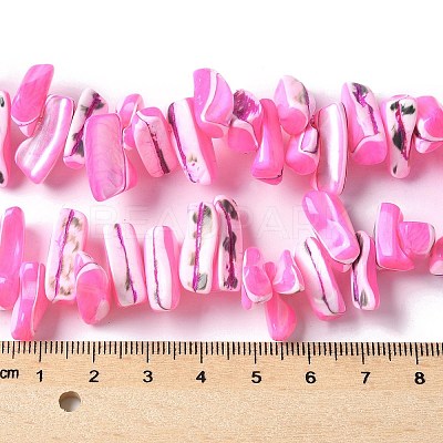 Dyed Natural Trochus Shell Beads Strands SSHEL-C013-09E-1