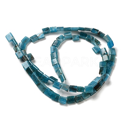 Natural Apatite Beads Strands G-F762-A19-01-1