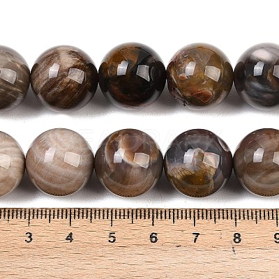 Natural Petrified Wood Beads Strands G-L648-A03-16mm-02-1