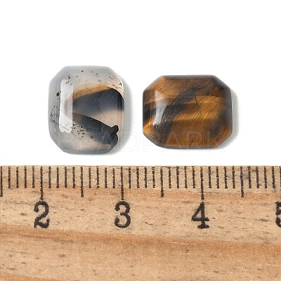 Natural Picture Jasper/Tiger Eye/Red Jasper/Agate Cabochons G-Z075-02-1