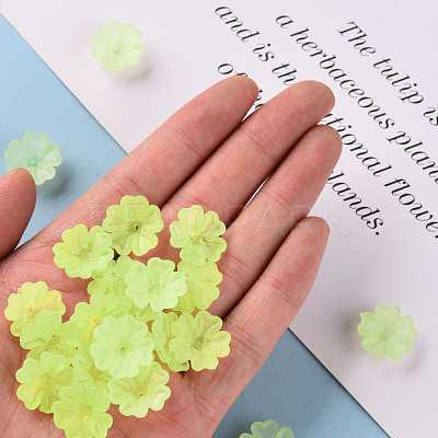 Transparent Frosted Acrylic Bead Caps MACR-S371-04A-728-1