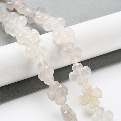 Natural White Agate Beads Strands G-P520-A01-01-1