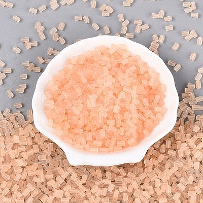 FGB Frosted Transparent Glass Seed Beads X-SEED-N013-05A-03-1