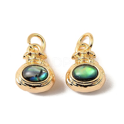 Natural Paua Shell Lucky Bag Charms KK-G538-19G-1