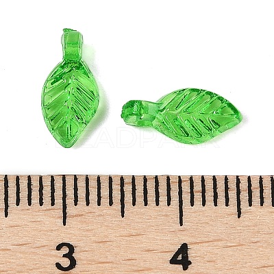 Transparent Acrylic Charms X-TACR-F009-11E-1