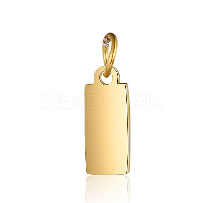 201 Stainless Steel Pendants STAS-S105-T634-2-1