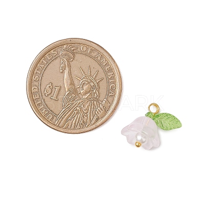 Glass Charms PALLOY-MZ00838-04-1