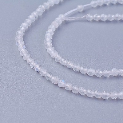 Natural Rainbow Moonstone Beads Strands G-F619-19-2mm-1