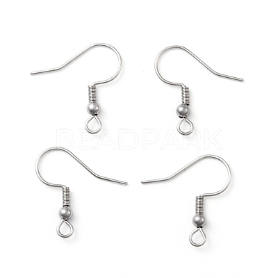 Tarnish Resistant 316 Surgical Stainless Steel Earring Hooks STAS-N019-02-1